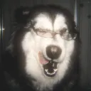 soyanonima_