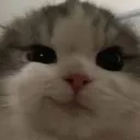 jmn_