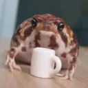 LynnKamui