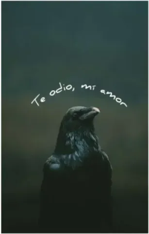 Te odio, mi amor