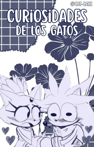 Curiosidades de los gatos | Silvaze
