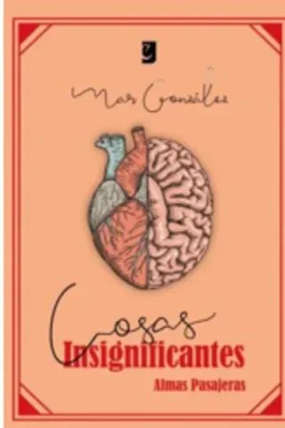 COSAS INSIGNIFICANTES
